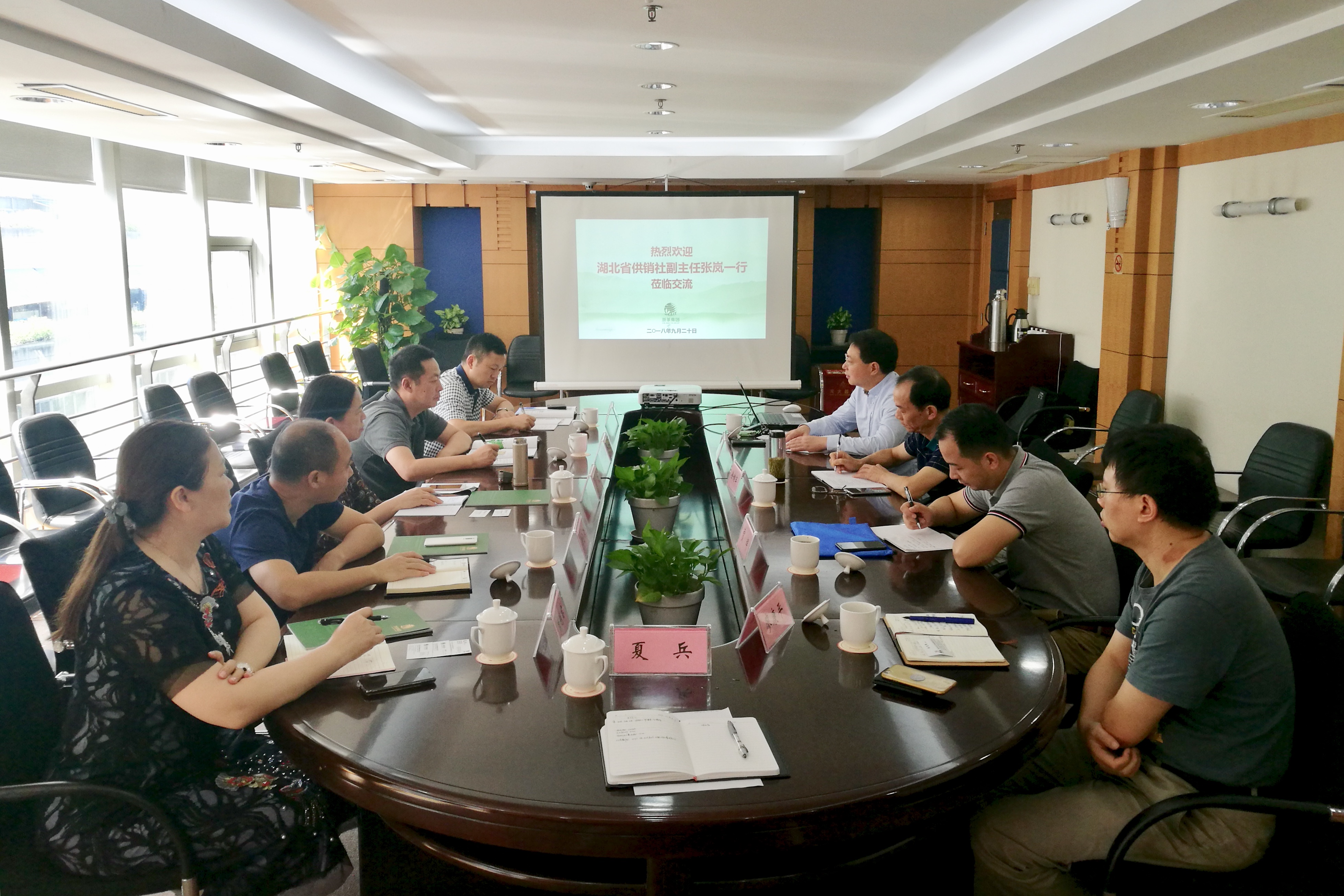 湖北省供銷社張嵐副主任一行蒞臨浙茶集團(tuán)考察交流