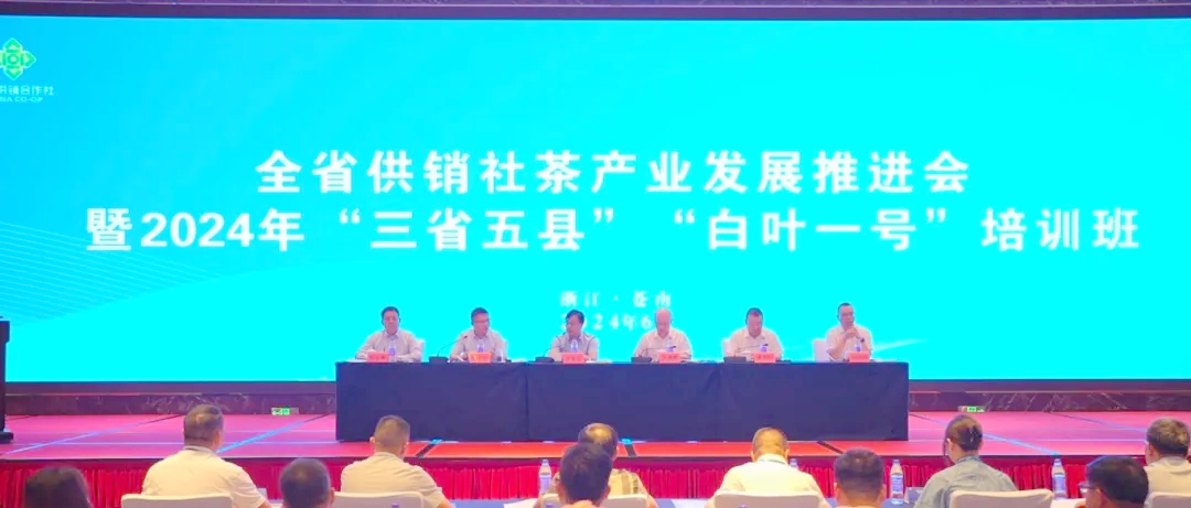 全省供銷社茶產業(yè)發(fā)展推進會暨2024年“三省五縣”“白葉一號”培訓班順利舉辦